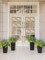 117 Bunches UV Resistant Fake Plants Outdoor – Artificial Greenery Bushes, Faux Eucalyptus Shrubs for Garden, Patio, Front Porch, Yard & Home Decor